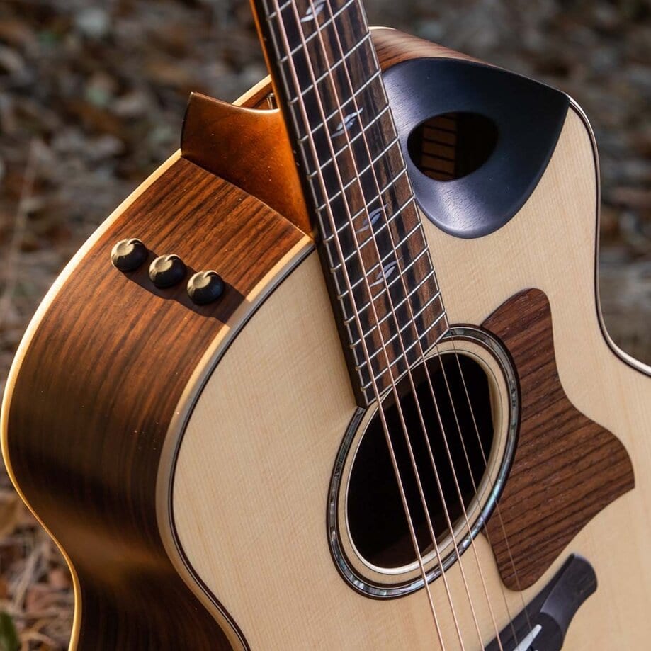 Taylor guitars near me top